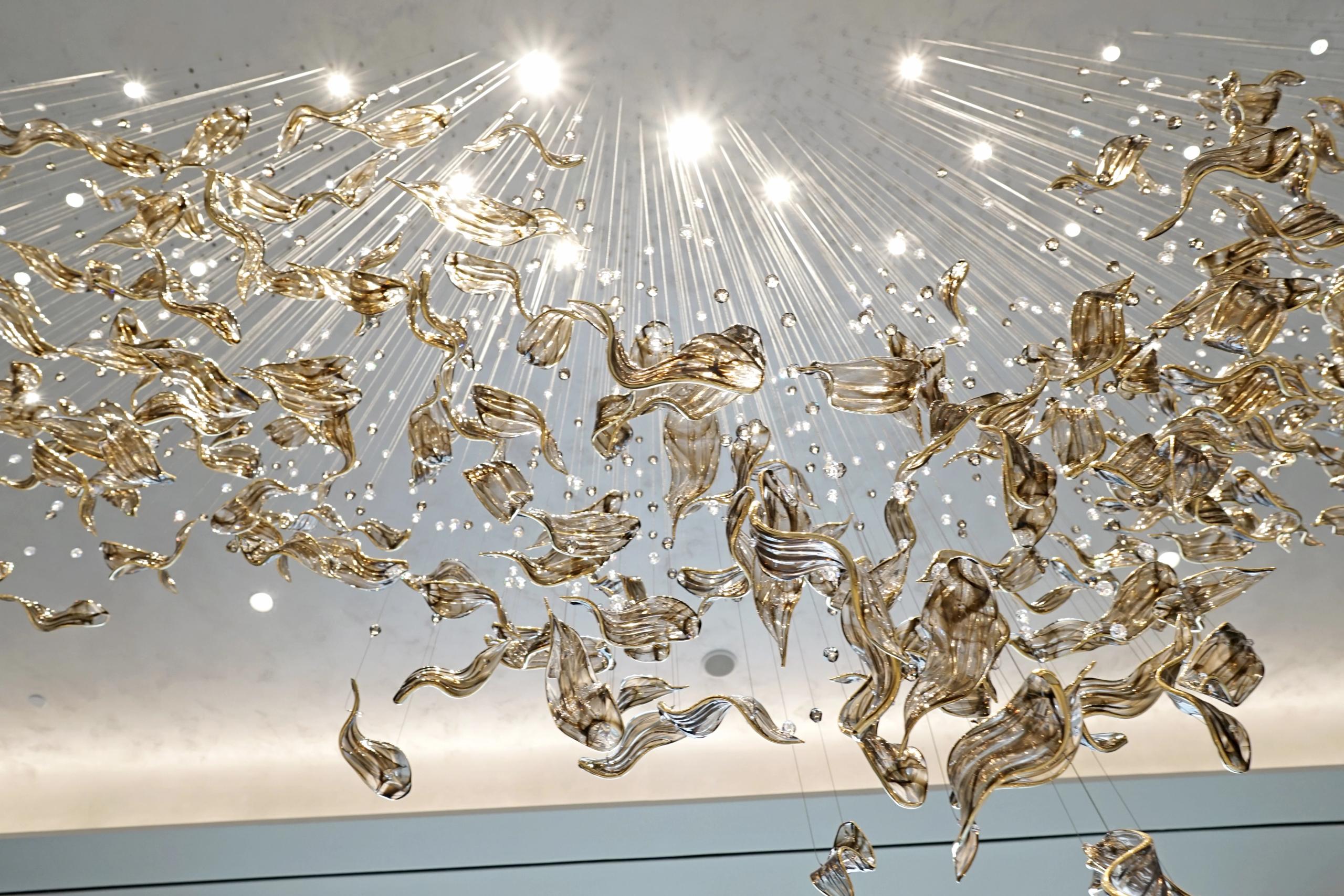 260319004(2) (5).jpg