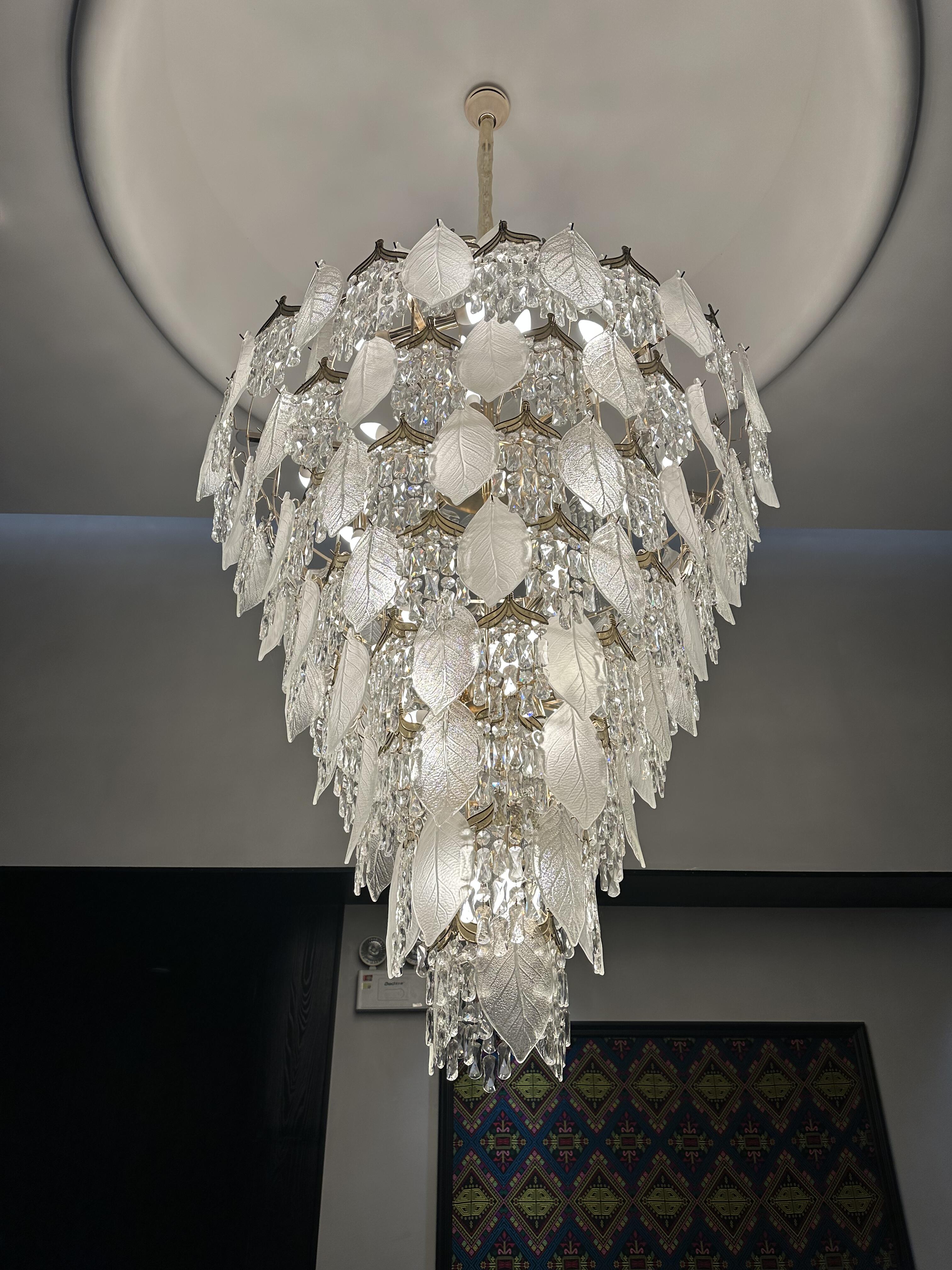 260325001(2) (2).jpeg